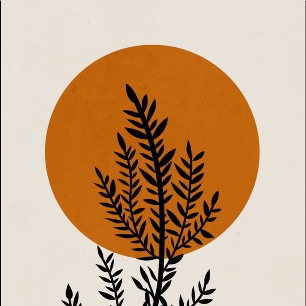 Meet your Posher, Viviana